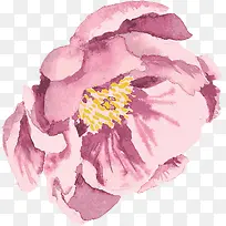 粉色水彩花朵设计