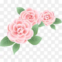 手绘粉色花朵水彩