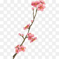 手绘复古粉色水彩花朵树枝装饰