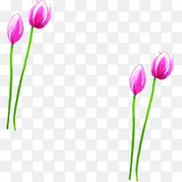 粉色手绘花朵植物创意