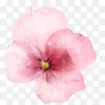 手绘水彩粉色花朵装饰