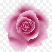 粉色卡通艺术花朵玫瑰