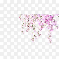 粉色花朵春季装饰