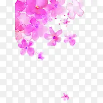 手绘粉色渐变花朵装饰