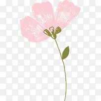 粉色水墨花朵植物