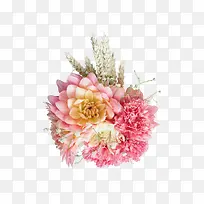 粉色温馨花朵植物康乃馨