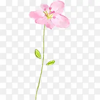 粉色可爱手绘花朵创意图案