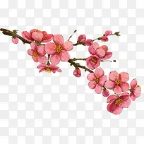手绘复古粉色水彩花朵树枝