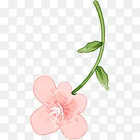 手绘粉色水彩夏季花朵装饰