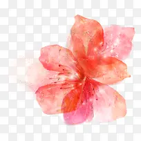 手绘粉色春日花朵