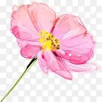 粉色甜美花朵植物手绘