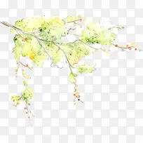 创意手绘水彩树枝树木