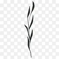 手绘植物