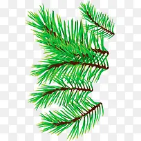 手绘绿色圣诞树枝