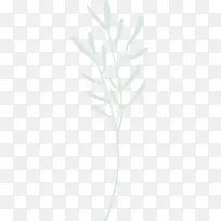 手绘植物