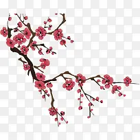 粉色手绘梅花树枝