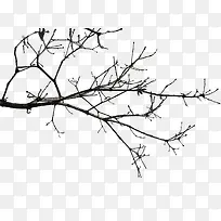 手绘冬季树枝背景素材