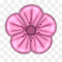 紫色小花