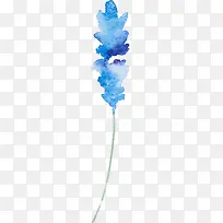 水彩植物