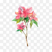 花