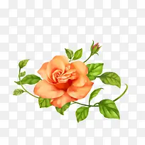 小花