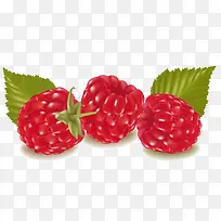 野草莓PNG