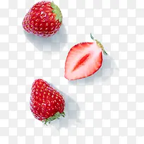 水果植物草莓红色