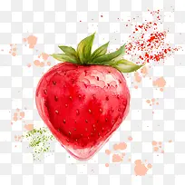 矢量水彩草莓