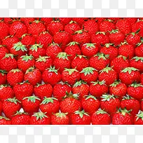 新鲜美味的草莓水果
