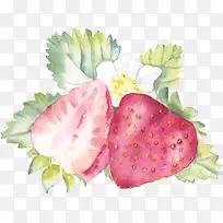 手绘草莓插画设计