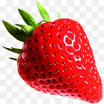 高清红色水果草莓