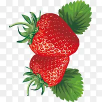 手绘红色高清草莓
