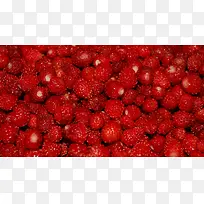 高清红色小草莓水果