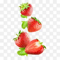 新鲜的红草莓