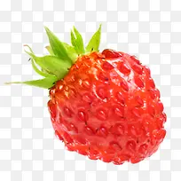 水珠草莓图片