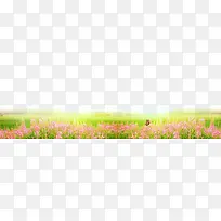 花海素材