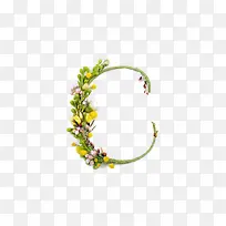 绿色植物字母