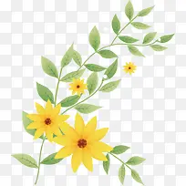 花纹花边