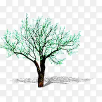 绿色树林植物景观
