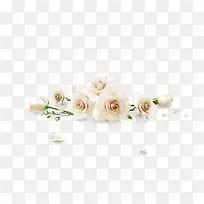白色梦幻玫瑰花花瓣