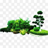 绿色树林植物装饰