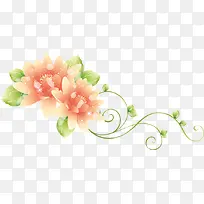 漂浮花朵