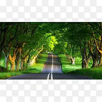 绿色树林乡间小路