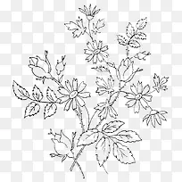 矢量手绘黑白线条花