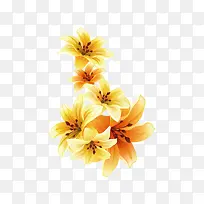 花纹