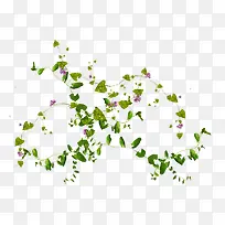 花藤免扣透明背景png素材