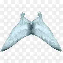 白色天使翅膀PNG透明背景素材