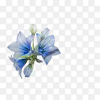 蓝色花透明花朵素材
