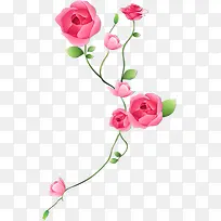 彩绘粉色玫瑰