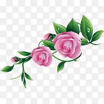 春天手绘粉色玫瑰